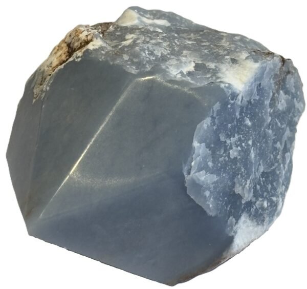 Natural rough angelite freeform with polished point 4 sians emporium Natural rough angelite freeform crystal with unpolished sides and a smooth polished blue point standing on a white background